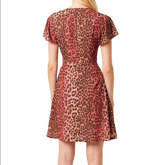 French Connection Annalia Leopard 🐆 Print Dress - Picture 3 of 9
